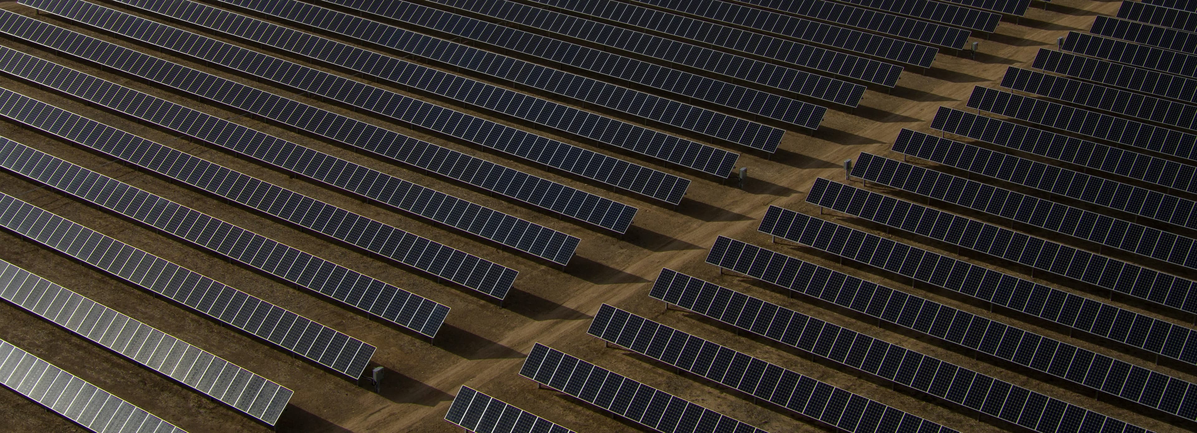 Solars in a field